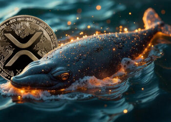 Whales Accumulate 830 Million XRP as Ripple Launches RLUSD Stablecoin