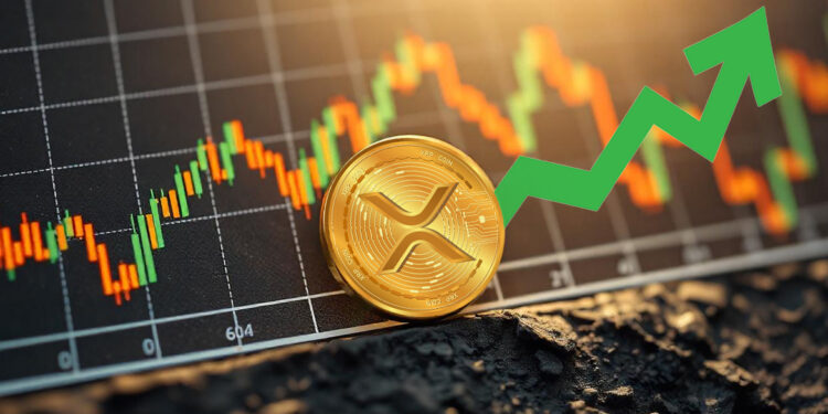 XRP's Mean Dollar Invested Age Flashes Bullish Signal