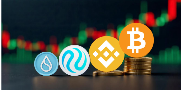 With $SUI and $BNB Showing Minor Losses, Will BTC and INJ Continue to Dominate