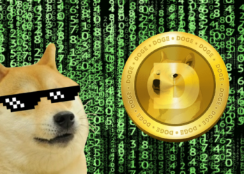 DogeCoin Price Will Exceed $1 - Doge’s New Strategies