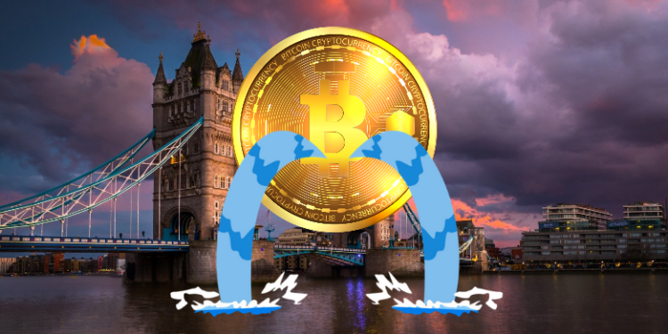 BTC Holders Should Be Prepared to Lose All Their Money Says Bailey