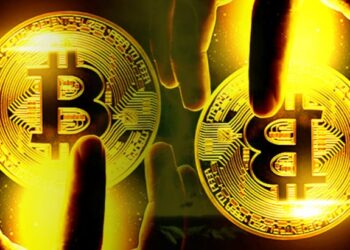 Number of Bitcoin Owners Has Multiplied Thrice Since 2018: Gallup Poll