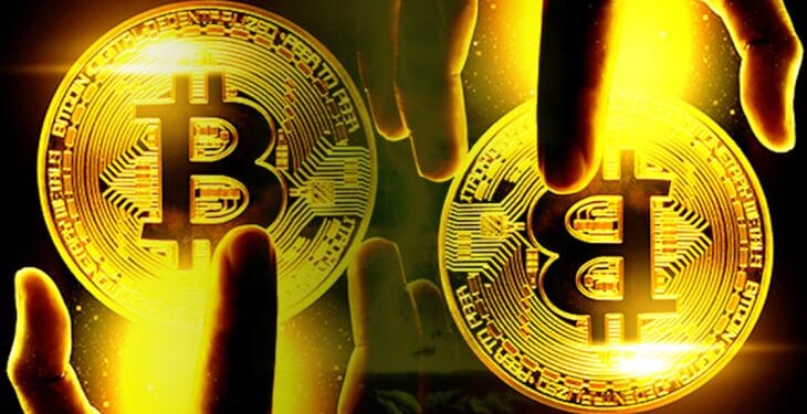 Number of Bitcoin Owners Has Multiplied Thrice Since 2018: Gallup Poll