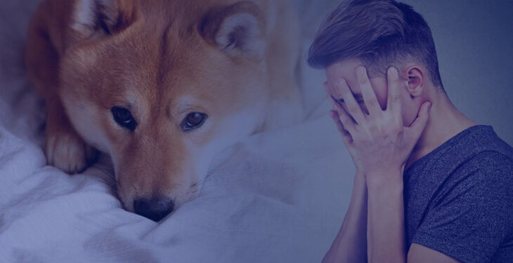 Meme Coins DOGE, BABYDOGE, SAFEMOON Faced a Price drop