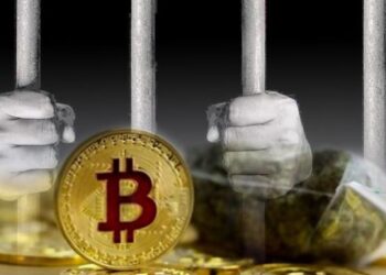 $137 Million of Bitcoin Laundering Indicted on Dark Web Drug Dealer From Prison