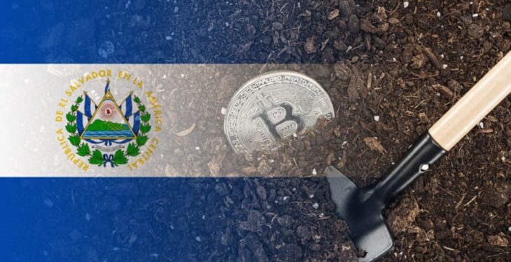 Massive 70% of Salvadorans Reject New Bitcoin Law as per the Survey