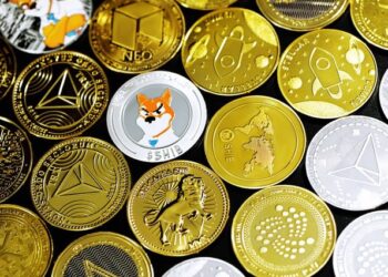 What the Future Holds for Meme Coins