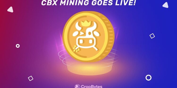 CropBytes Festive Season just got better for; CBX Mining is Back!