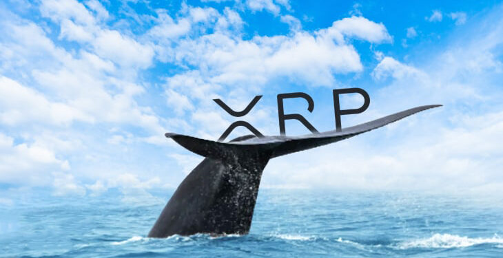 300 Million XRP Transferred From Binance to Unknown Wallet