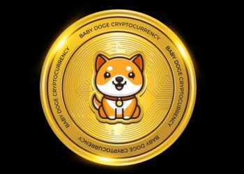 BabyDoge Price Prediction for December 27, 2024 Key Insights and Future Trends