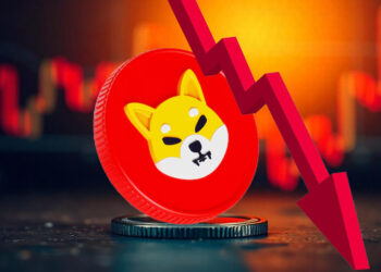 Is Now the Time to Buy the SHIB Dip Key Price Levels and Outlook
