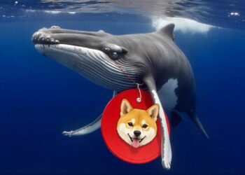 SHIB Whale Activity Soars 754% Increase in Large Holder Outflows Over the Past Week