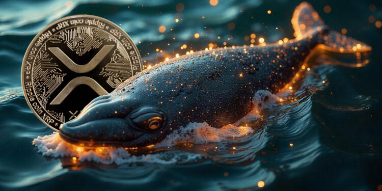 Whales Accumulate 830 Million XRP as Ripple Launches RLUSD Stablecoin