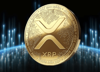 XRP's Path to $168 Analysts Forecast a 6,800% Surge in the Next Bull Cycle