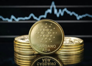 Cardano Holds Steady Near $1—Key Indicators Signal Stabilization Amid Volatility