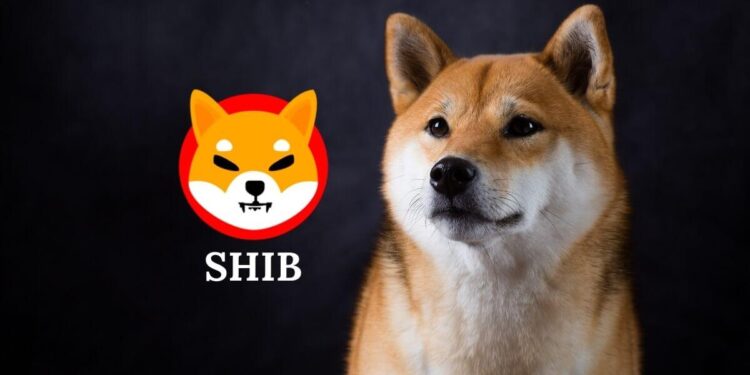Critical Support Zone for Shiba Inu Will $0.0000185 to $0.0000212 Hold
