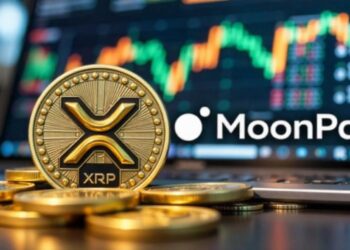 Ripple, MoonPay Support California Firefighters with $50,000 in Digital Aid