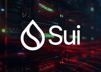 SUI Crypto Price Prediction Will it Reach New Heights on January 14th