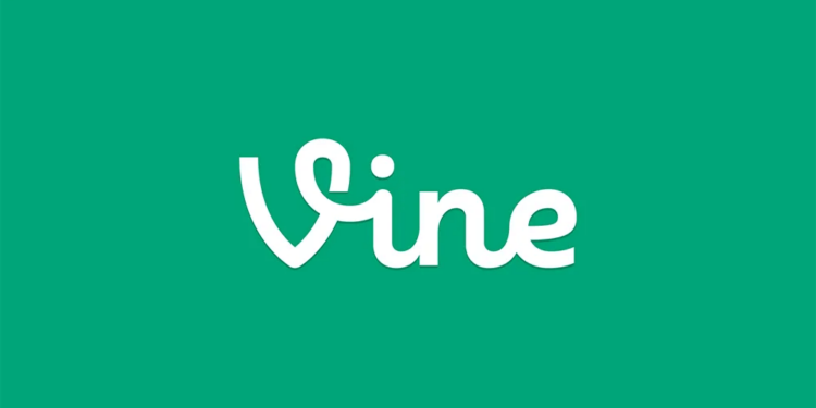 $VINE Price Prediction Stability in a Volatile Market