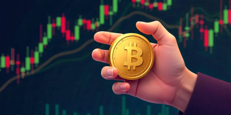 1.6M BTC Addresses Hold at $97K as Whales Sell, Yet Price Stays Strong