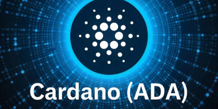 ADA Whales on the Move How 70M Transfers Impact Price