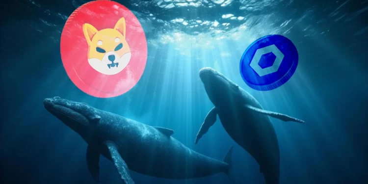 Shiba Inu Whales Hold 61% as Altcoins Surge with Chainlink Leading the Rally