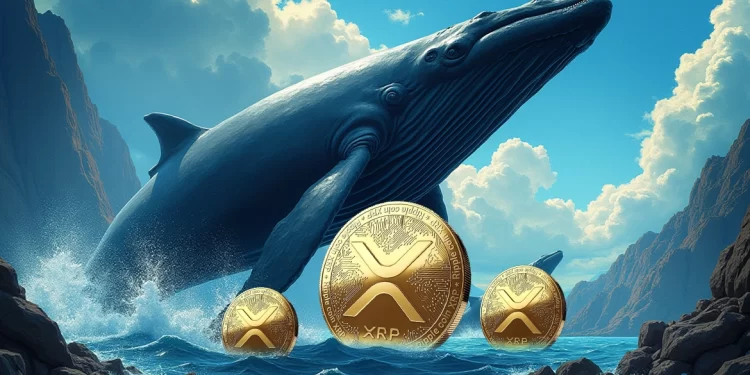 XRP Price Outlook Amid Whale Accumulation and SEC Uncertainty